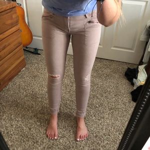 HOLLISTER PANTS- NEW❗️❗️